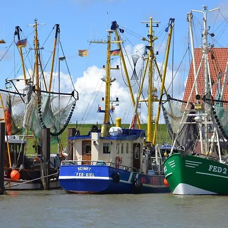 Dom wakacyjny Gratis Waeschepaket! Luxerioeses Direkt An Der Nordsee