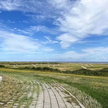 Gratis Waeschepaket! Luxerioeses Direkt An Der Nordsee 別荘 ブットヤーディンゲン